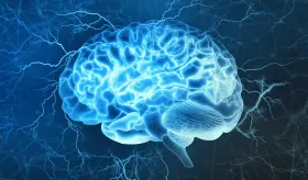 Separación entre humanos y mascotas tiene impacto negativo en la salud mental según investigación