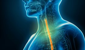 Reflujo ácido y ansiedad: una conexión psicosomática peligrosa para la salud digestiva