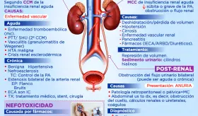 Insuficiencia renal aguda | Infografía