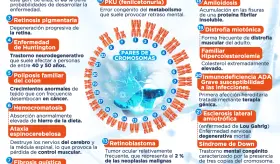 Enfermedades causadas por mutaciones de genes | Infograf&iacute;a