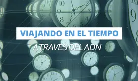 Viajando en el tiempo a trav&eacute;s del ADN: &iquest;C&oacute;mo funcionan las pruebas de ascendencia gen&eacute;tica? - #MSP