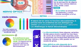 El daltonismo | Infografía