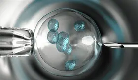 &iquest;Embri&oacute;n creado con ADN celular de piel y espermatozoide permitir&iacute;a la procreaci&oacute;n de hijos entre 2 hombres?