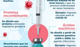 4 tipos de vacunas | Infografía