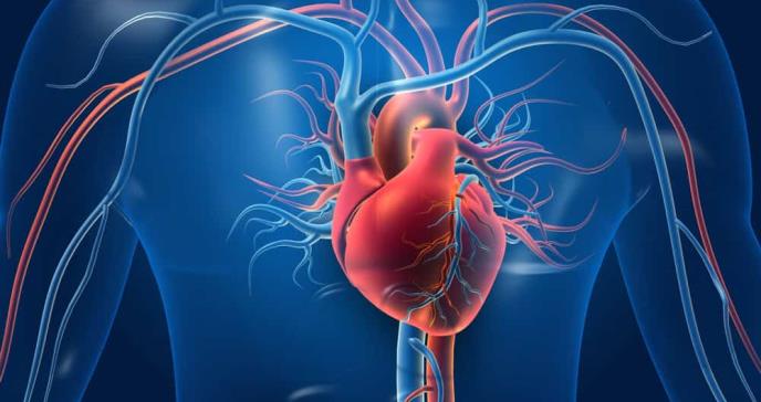 Combinación entre suplementos de calcio y vitamina D podrían exacerbar el riesgo cardiovascular