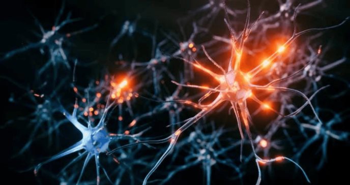 El cerebro podría almacenar casi 10 veces más información de la que se pensaba