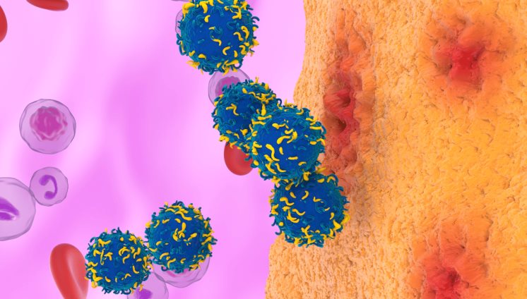 Terapia ´treat to target´ logra facilitar el embarazo en mujeres con artritis reumatoide Terapia ´treat to target´ logra facilitar el embarazo en mujeres con artritis reumatoide