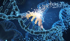 Descubrimiento clave en el ADN podría transformar el tratamiento de la enfermedad inflamatoria intestinal