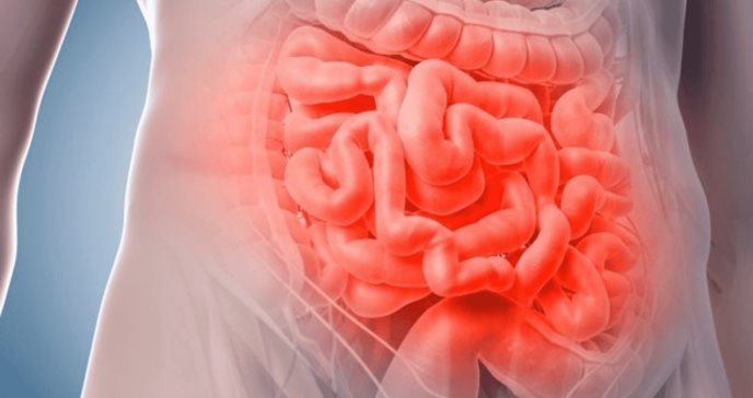 Nuevo protocolo de pruebas en el diagnóstico de enfermedades inflamatorias intestinales