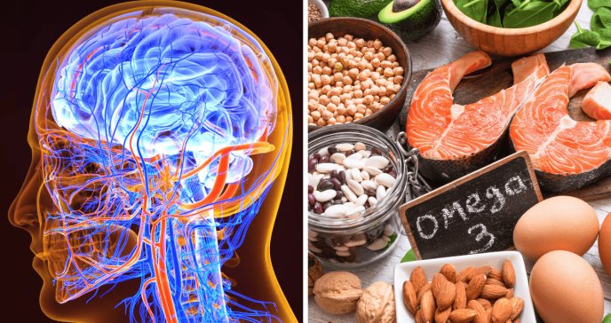 Dieta rica en grasas omega-3 puede ser clave para prevenir alzhéimer y mejorar la función cerebral