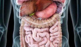 Situs Inversus: ¿Qué ocurre en el cuerpo cuando tenemos algunos órganos en el lugar equivocado?