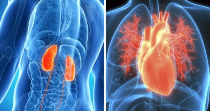 ¿Cómo reducir la progresión de la enfermedad renal crónica y la enfermedad cardiovascular?