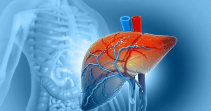 Encefalopatía Hepática: la enfermedad reversible que puede ser confundida con Alzheimer y Parkinson