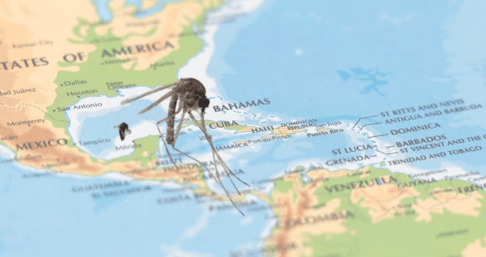 Oropouche: el mosquito que preocupa en Latinoamérica, el Caribe y Puerto Rico