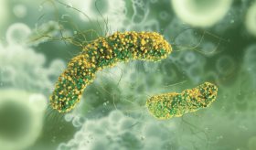 Brote de Listeriosis: Reportan nueve muertes vinculadas a fiambres contaminados en EE.UU