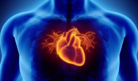 Uso frecuente del teléfono móvil está asociado a mayor riesgo de enfermedad cardíaca, según estudio 
