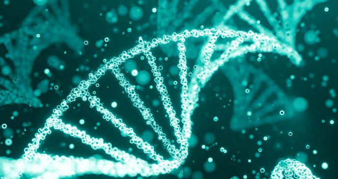 Obtenida la primera película de la multiplicación del genoma del virus de la gripe