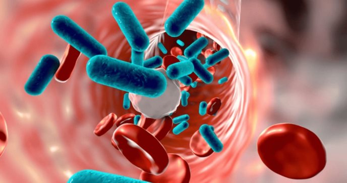 Resistencia a los antibióticos podría causar 39 millones de muertes para 2050, advierte estudio