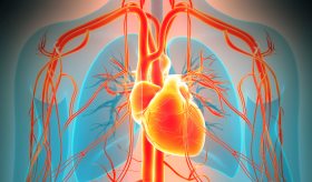 Nuevas directrices establecen enfoque integral y multidisciplinar en  manejo de fibrilación auricular