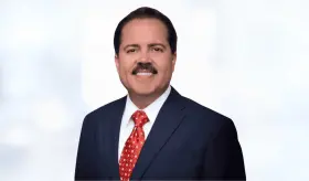 Rol de las aseguradoras podría cambiar, pero no su permanencia