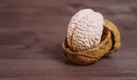 Investigadores crean minicerebros a partir de células madre para estudiar progresión del alzhéimer