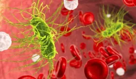 Estudio demuestra que 7 días de antibióticos son efectivos para infecciones del torrente sanguíneo