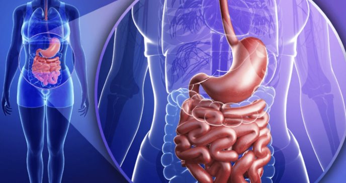 Alimentos ultraprocesados: Un riesgo oculto para la remisión en pacientes con enfermedad de Crohn