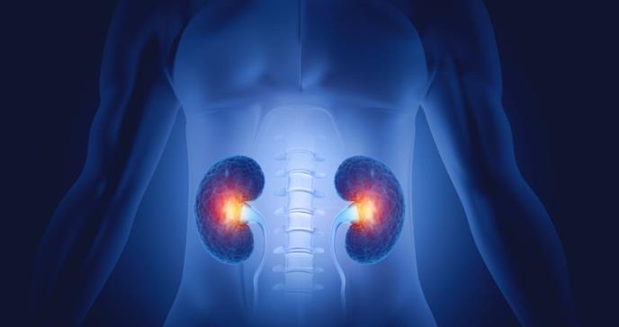 La obesidad representa del 20% al 25% de los casos de enfermedad renal crónica a nivel mundial: experto