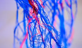 ¿Sufre de insomnio? No prestarle atención puede predisponerlo a condiciones cardíacas