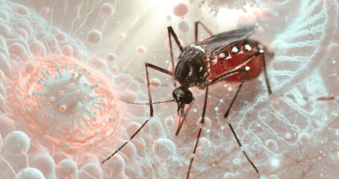 Alerta epidemiológica: Más de 11 millones de casos de dengue en las Américas en 9 meses