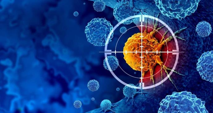 Desarrollan anticuerpo que potencia la interacción entre células inmunitarias para combatir el cáncer