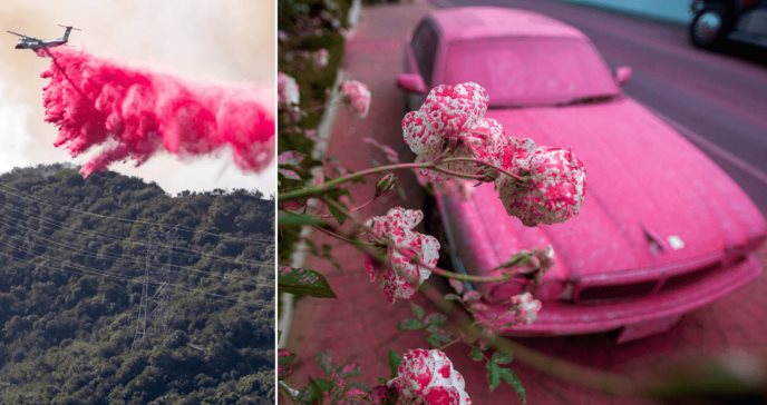 Efectos del polvo rosa contra incendios: Irritación en la piel, contaminación del agua y toxicidad 