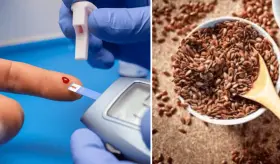 Aumentar la ingesta de lignanos podr&iacute;a reducir la mortalidad en personas con diabetes tipo 2