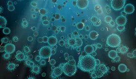 El herpes es manejable: Tratamiento antiviral reduce brotes y mejora bienestar