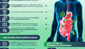 MICROBIOTA INTESTINAL