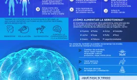 LA SEROTONINA