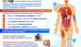 EL MAGNESIO EN EL CUERPO