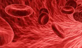 Hemofilia: Conozca de qué trata el trastorno de la coagulación que puede causar hemorragias espontáneas