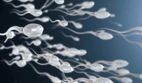 Primera carrera de espermatozoides en EE. UU. contará con mil espectadores y cámaras de alta resolución