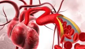 Cient&iacute;ficos descubren nueva terapia inyectable para reparar el coraz&oacute;n tras un infarto  