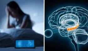Falta de sueño alteraría funciones clave del cerebro, afectando la memoria, las emociones y la atención