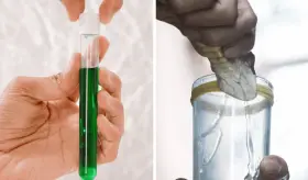 Desarrollan antídoto universal capaz de neutralizar múltiples venenos de serpientes mortales