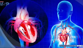 Cardiopat&iacute;a isqu&eacute;mica, hipertensi&oacute;n y obesidad: Principales causas de insuficiencia cardiaca