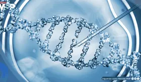 Manipulación genética de autofagia podría frenar deterioro cerebral y ciertos cánceres ligados a la edad