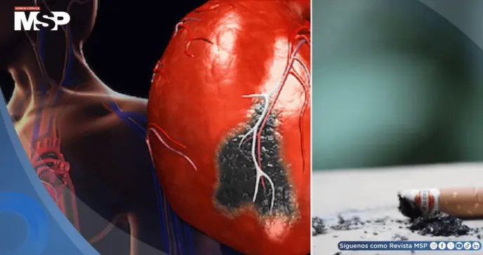 ´Humo de tercera mano´: Alertan sobre daño cardiovascular y riesgo de cáncer asociado al polvo de tabaco ´Humo de tercera mano´: Alertan sobre daño cardiovascular y riesgo de cáncer asociado al polvo de tabaco