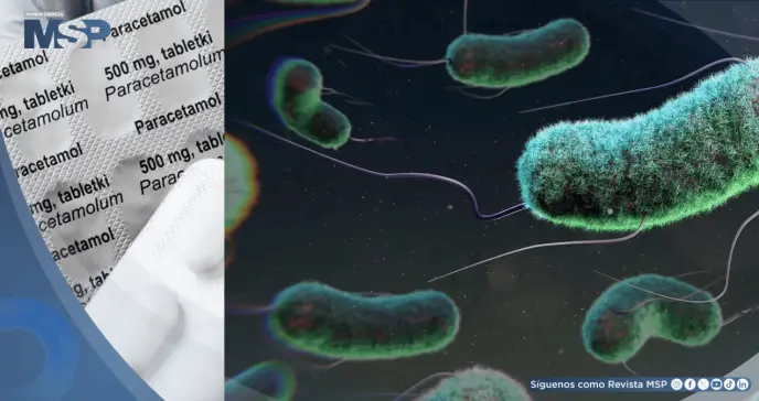 Científicos logran convertir residuos plásticos en paracetamol utilizando la bacteria Escherichia coli