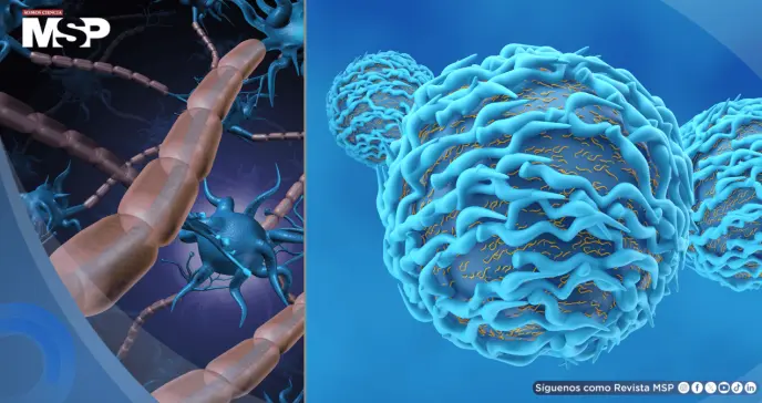 Inmunoterapia deja exclusividad en cáncer: avanza en alzhéimer, esclerosis múltiple y otras patologías Inmunoterapia deja exclusividad en cáncer: avanza en alzhéimer, esclerosis múltiple y otras patologías