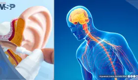 Inteligencia artificial detecta el párkinson a través del cerumen con 94 % de precisión