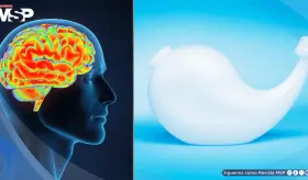 FDA alerta que lavados nasales mal realizados podrían causar infecciones cerebrales poco comunes