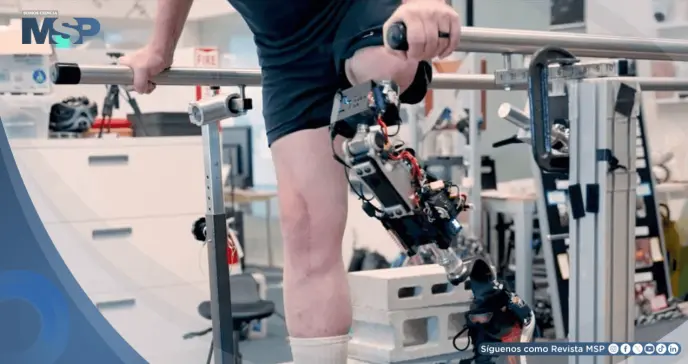 Desarrollan prótesis de rodilla biónica que se integra al hueso y al músculo para personas con amputación Desarrollan prótesis de rodilla biónica que se integra al hueso y al músculo para personas con amputación